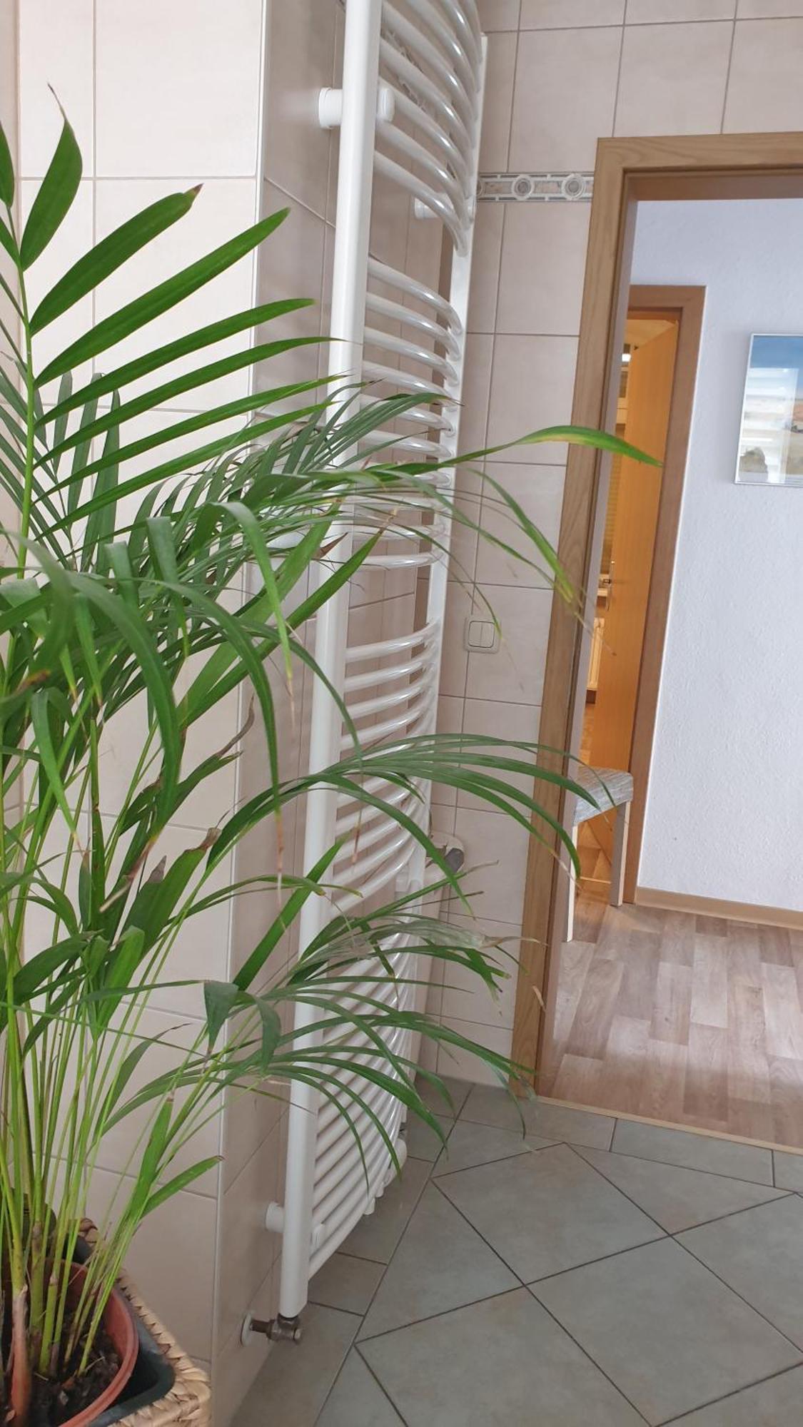 Ferienwohnung Sonnenschein Familie Hamdorf Бад-Зульца Экстерьер фото